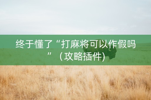 终于懂了“打麻将可以作假吗”（攻略插件)