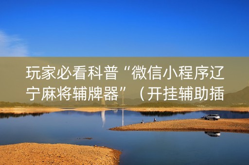 玩家必看科普“微信小程序辽宁麻将辅牌器”（开挂辅助插件)