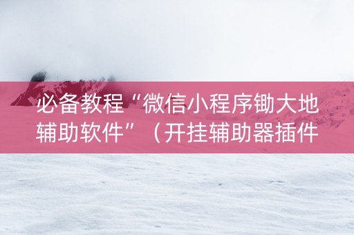 必备教程“微信小程序锄大地辅助软件”（开挂辅助器插件)