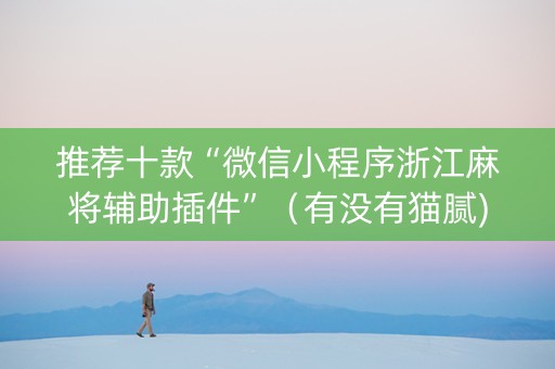 推荐十款“微信小程序浙江麻将辅助插件”（有没有猫腻)