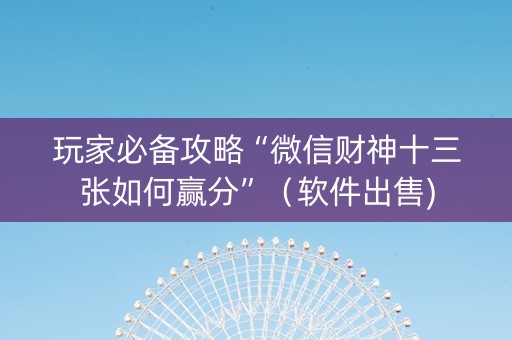 玩家必备攻略“微信财神十三张如何赢分”（软件出售)