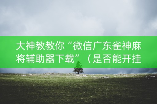 大神教教你“微信广东雀神麻将辅助器下载”（是否能开挂)