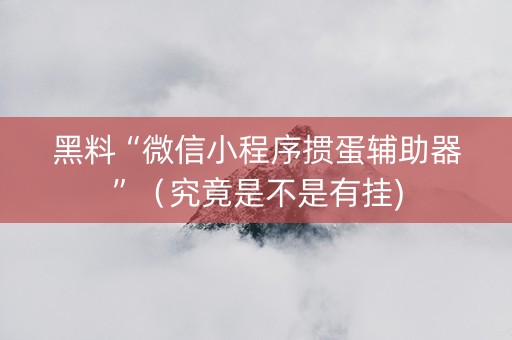 黑料“微信小程序掼蛋辅助器”（究竟是不是有挂)