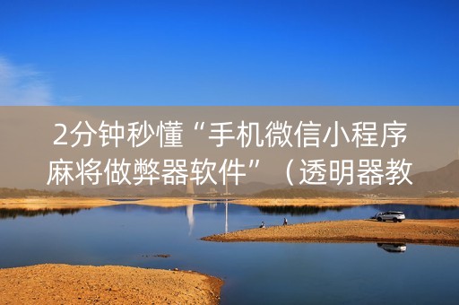2分钟秒懂“手机微信小程序麻将做弊器软件”（透明器教程)