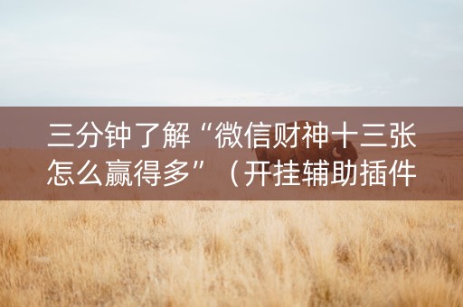 三分钟了解“微信财神十三张怎么赢得多”（开挂辅助插件)