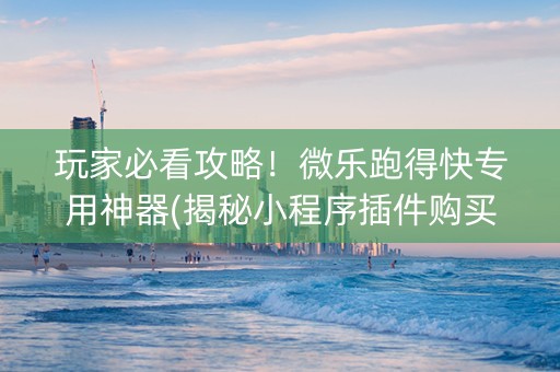 玩家必看攻略！微乐跑得快专用神器(揭秘小程序插件购买)