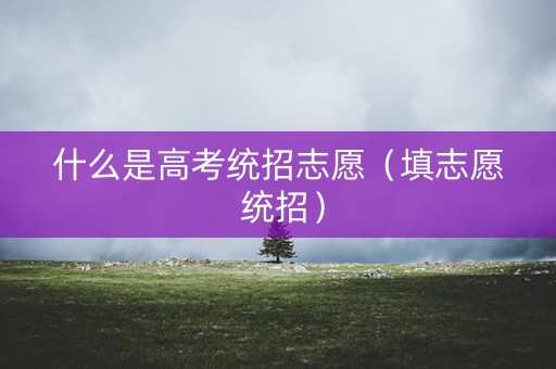 什么是高考统招志愿（填志愿 统招）