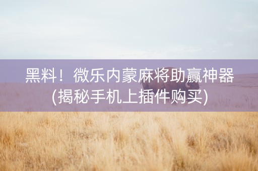 黑料！微乐内蒙麻将助赢神器(揭秘手机上插件购买)
