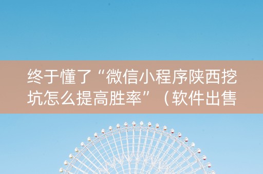 终于懂了“微信小程序陕西挖坑怎么提高胜率”（软件出售)