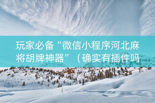 玩家必备“微信小程序河北麻将胡牌神器”（确实有插件吗)