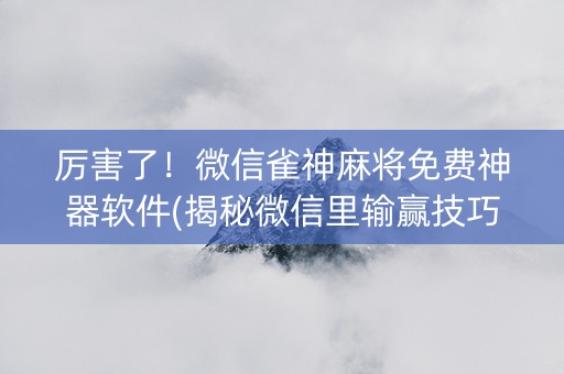 厉害了！微信雀神麻将免费神器软件(揭秘微信里输赢技巧)