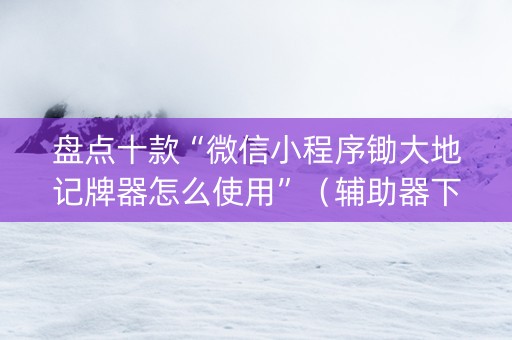 盘点十款“微信小程序锄大地记牌器怎么使用”（辅助器下载)
