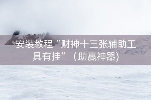 安装教程“财神十三张辅助工具有挂”（助赢神器)