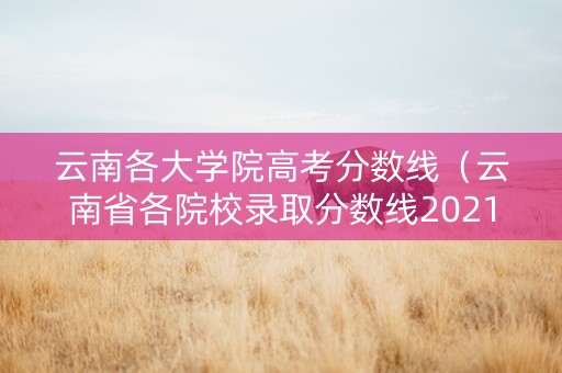 云南各大学院高考分数线（云南省各院校录取分数线2021）