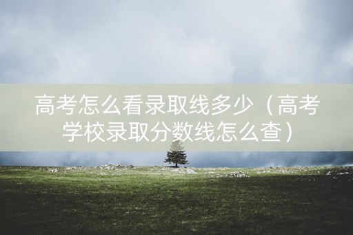 高考怎么看录取线多少（高考学校录取分数线怎么查）
