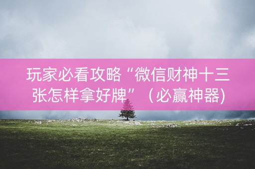 玩家必看攻略“微信财神十三张怎样拿好牌”（必赢神器)