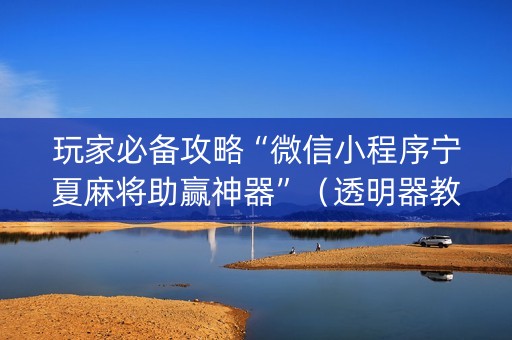 玩家必备攻略“微信小程序宁夏麻将助赢神器”（透明器教程)