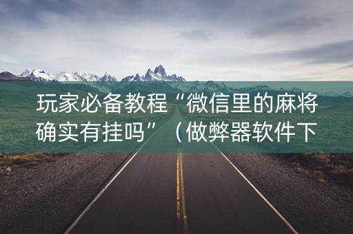 玩家必备教程“微信里的麻将确实有挂吗”（做弊器软件下载)