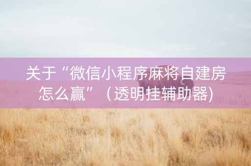 关于“微信小程序麻将自建房怎么赢”（透明挂辅助器)