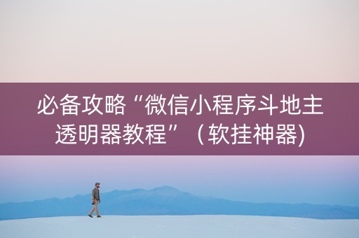 必备攻略“微信小程序斗地主透明器教程”（软挂神器)