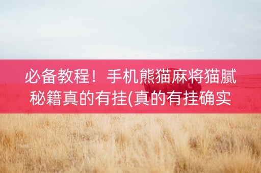 必备教程！手机熊猫麻将猫腻秘籍真的有挂(真的有挂确实有挂)