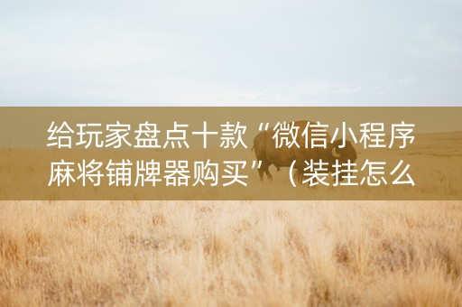 给玩家盘点十款“微信小程序麻将铺牌器购买”（装挂怎么安装)