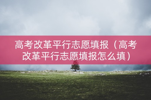 高考改革平行志愿填报（高考改革平行志愿填报怎么填）