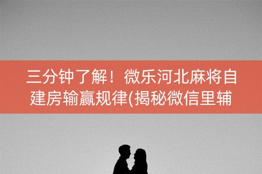 三分钟了解！微乐河北麻将自建房输赢规律(揭秘微信里辅牌器)