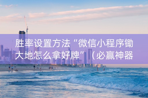 胜率设置方法“微信小程序锄大地怎么拿好牌”（必赢神器免费安装)