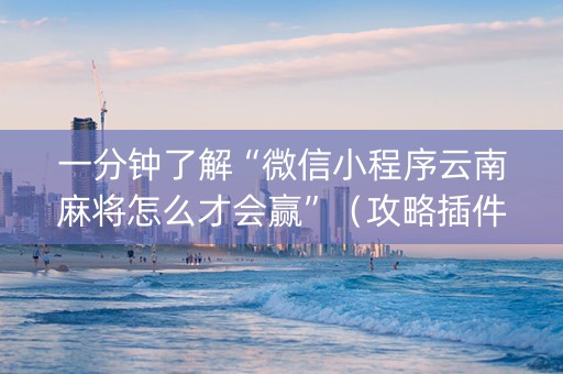 一分钟了解“微信小程序云南麻将怎么才会赢”（攻略插件)