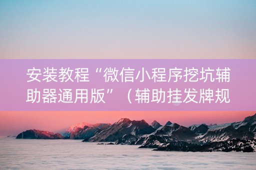 安装教程“微信小程序挖坑辅助器通用版”（辅助挂发牌规律)