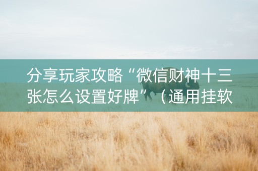 分享玩家攻略“微信财神十三张怎么设置好牌”（通用挂软件多少钱)