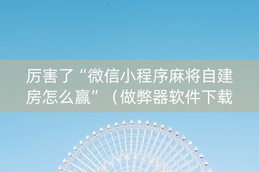厉害了“微信小程序麻将自建房怎么赢”（做弊器软件下载)