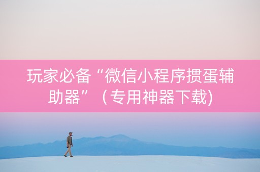 玩家必备“微信小程序掼蛋辅助器”（专用神器下载)