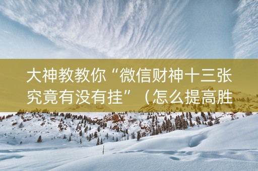 大神教教你“微信财神十三张究竟有没有挂”（怎么提高胜率)