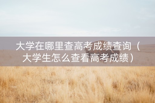 大学在哪里查高考成绩查询（大学生怎么查看高考成绩）