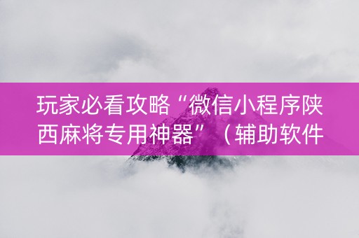 玩家必看攻略“微信小程序陕西麻将专用神器”（辅助软件)