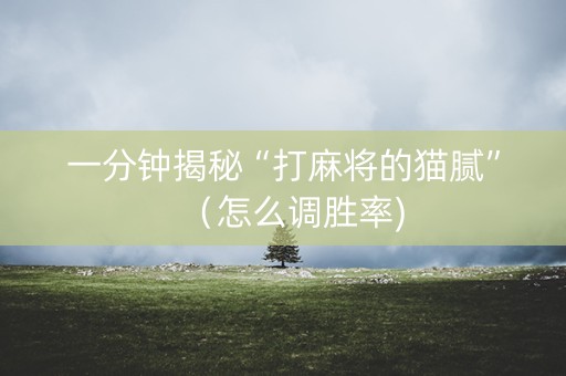 一分钟揭秘“打麻将的猫腻”（怎么调胜率)