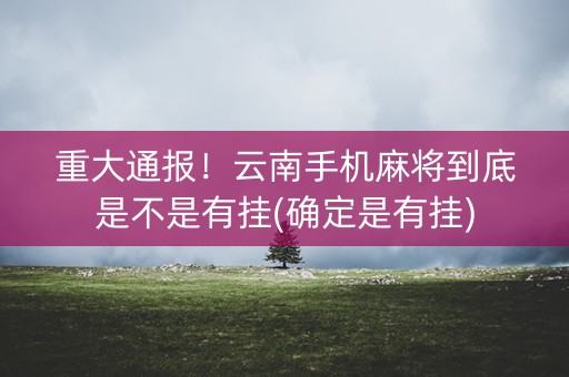 重大通报！云南手机麻将到底是不是有挂(确定是有挂)