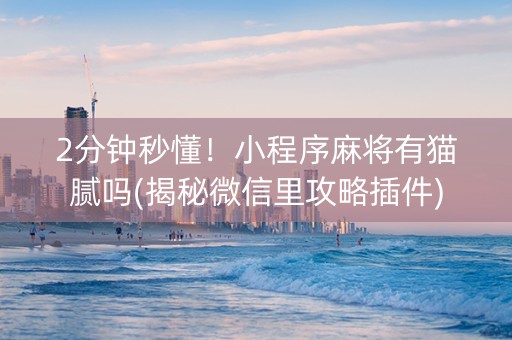 2分钟秒懂！小程序麻将有猫腻吗(揭秘微信里攻略插件)