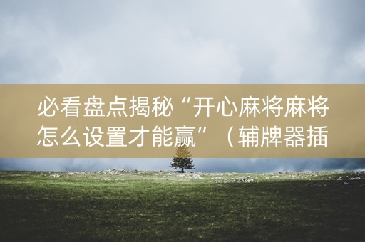 必看盘点揭秘“开心麻将麻将怎么设置才能赢”（辅牌器插件购买)