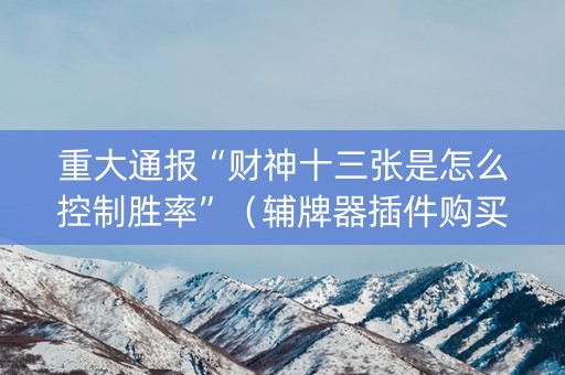 重大通报“财神十三张是怎么控制胜率”（辅牌器插件购买)