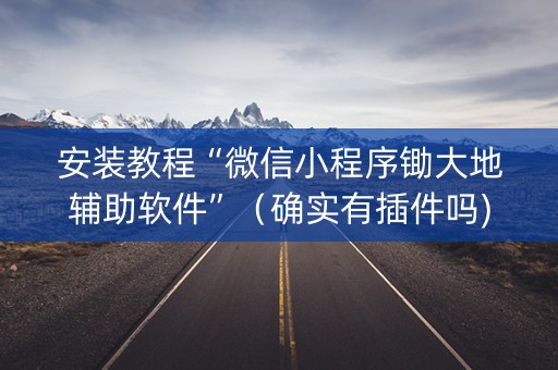 安装教程“微信小程序锄大地辅助软件”（确实有插件吗)