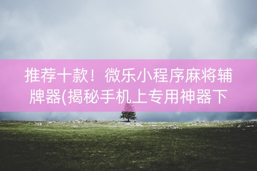 推荐十款！微乐小程序麻将辅牌器(揭秘手机上专用神器下载)