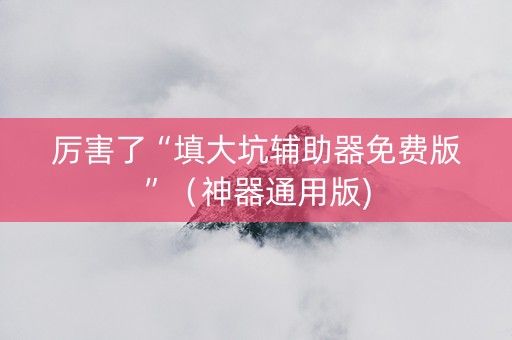 厉害了“填大坑辅助器免费版”（神器通用版)
