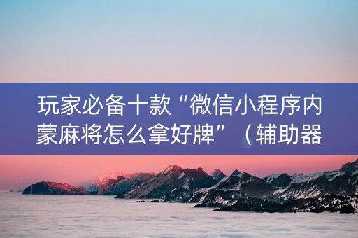 玩家必备十款“微信小程序内蒙麻将怎么拿好牌”（辅助器插件)