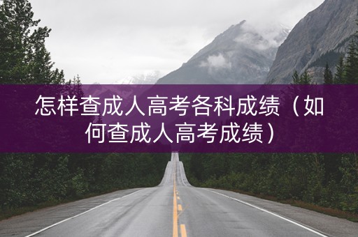 怎样查成人高考各科成绩（如何查成人高考成绩）
