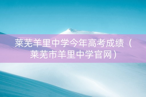 莱芜羊里中学今年高考成绩（莱芜市羊里中学官网）