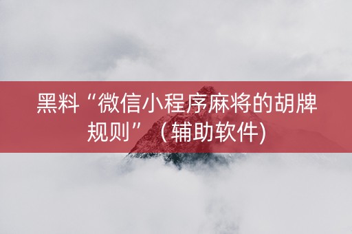 黑料“微信小程序麻将的胡牌规则”（辅助软件)