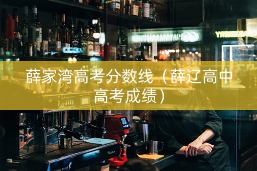 薛家湾高考分数线（薛辽高中高考成绩）